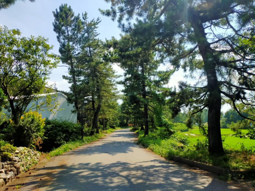 垂井宿