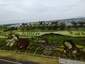 田んぼアート