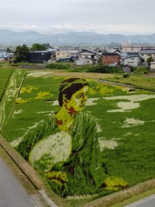 田んぼアート